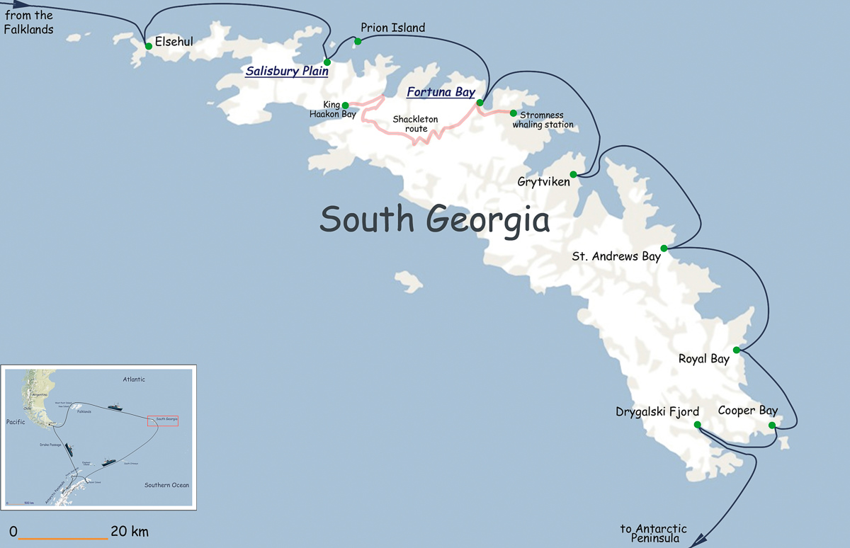 Antarctica 2008, second stage: South Georgia